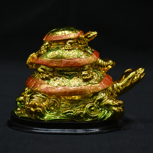 Triple Layer Color Tortoise